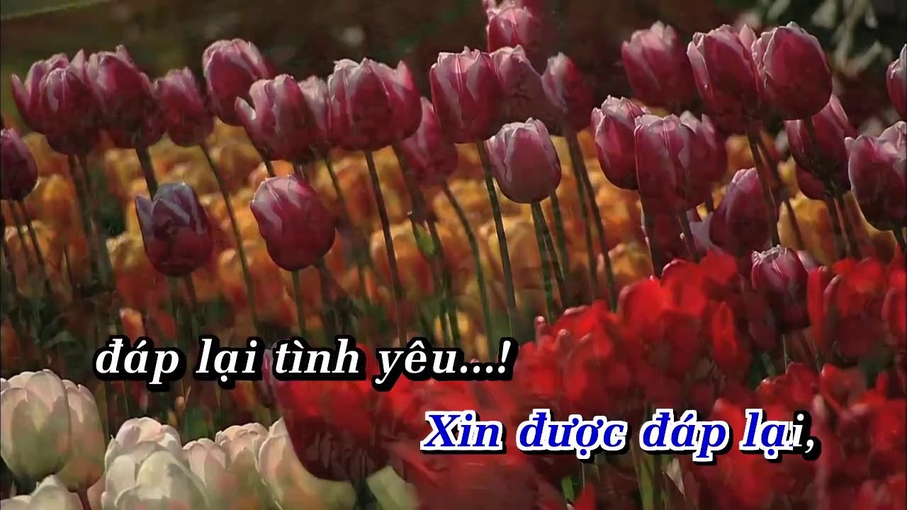 ChuaLaTatCaDoiCon-GiaAn-kok