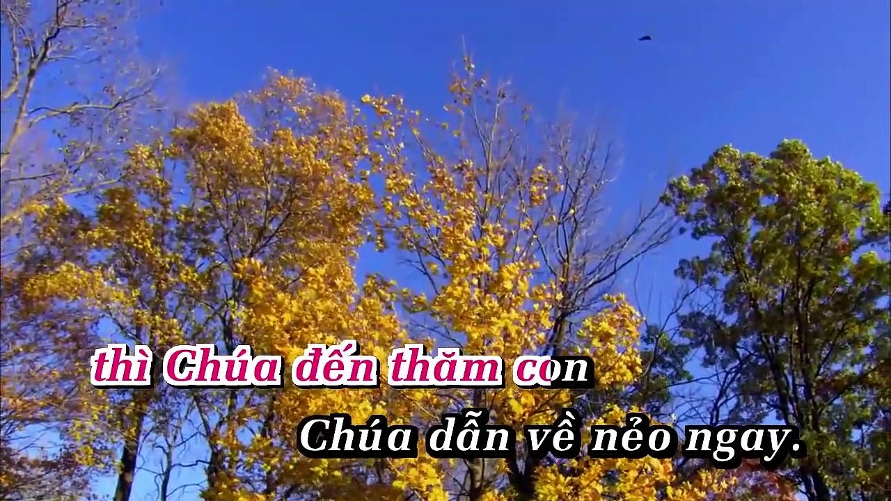 ChuaDenThamCon-NgocThao-kok