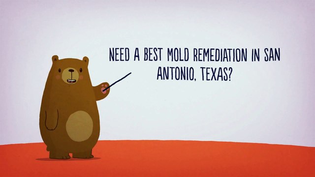 All US Mold Remediation in San Antonio, Texas