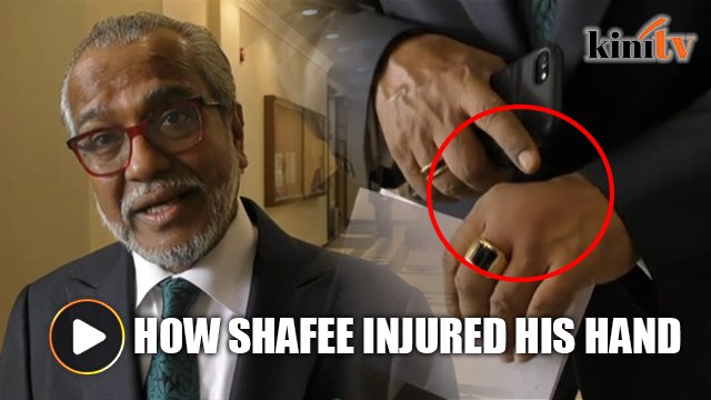 How Shafee's dog delayed Najib's case