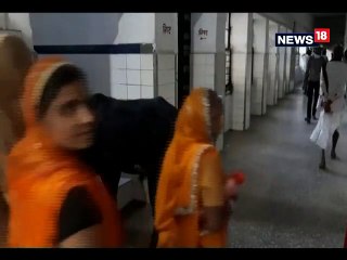 भीलवाड़ा शहर के महात्‍मा गांधी चिकित्‍सालय के महिला वार्ड में घुसा सांड - bull roamed in Woman Ward of Mahatma Gandhi Hospital in Bhilwara,