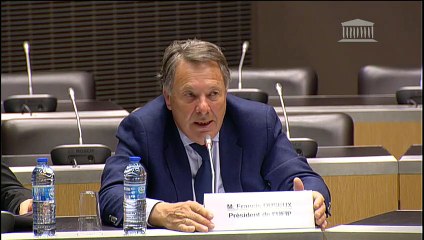 Impact des énergies renouvelables : M. Francis Duseux, pdt UFIP et  M. Frédéric Plan, dir. gén. FF3C  - Mardi 12 mars 2019