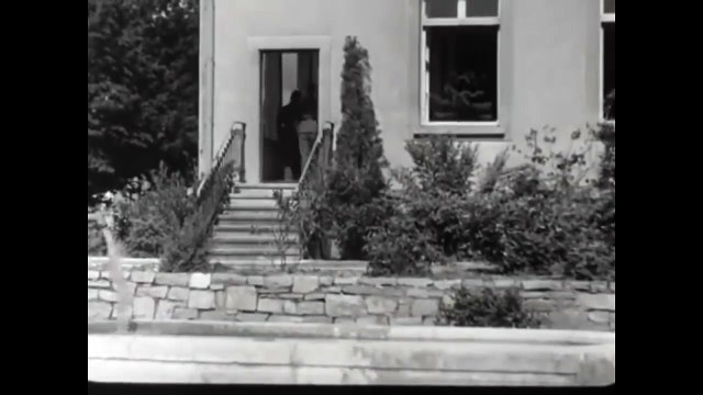 'Kameraden', a Dutch Waffen-SS recruiting film - 1943