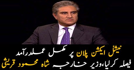 Govt fully committed for implementing National Action Plan: FM Qureshi