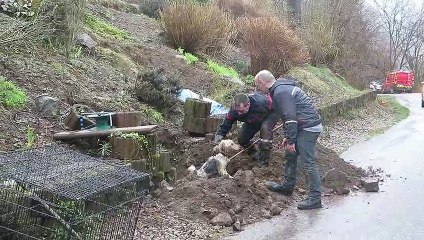 Dommartin-lès-Remiremont  : après plusieurs heures bloqué dans une canalisation, un chien libéré par les pompiers