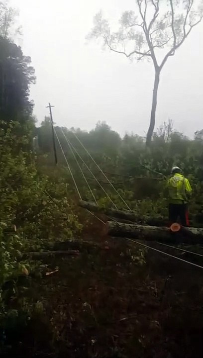 Power Line Throws Log like a Twig