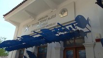 Video | Türkiye'nin ilk Deniz Biyoloji Müzesi Antalya'da ziyaretçilerini ağırlıyor