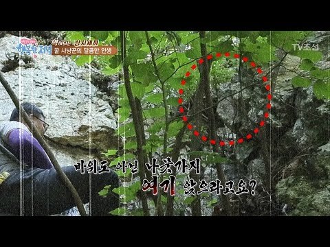 깎아지른 절벽, 꿀 따러 올라간다?! [행복한 저녁] 46회 20170620