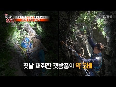 최고의 대물! 초대형 갯방풍 발견! [뉴 코리아 헌터] 56회 20170626