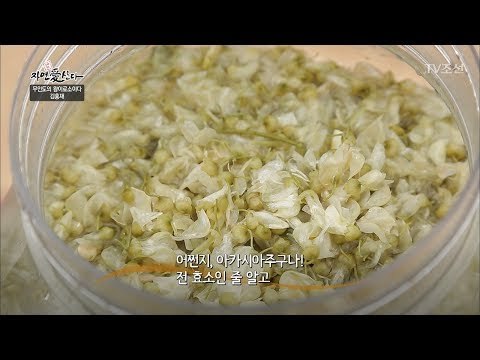 꽃으로 만든 달콤한 술 ‘아카시아주’ [자연愛산다] 11회 20170627