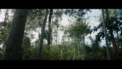 The Mercy of the Jungle / La Miséricorde de la jungle (2019) - Trailer (English Subs)