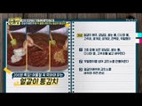 김치 명인의 초특급 김치 레시피 총정리! [만물상 200회] 20170709