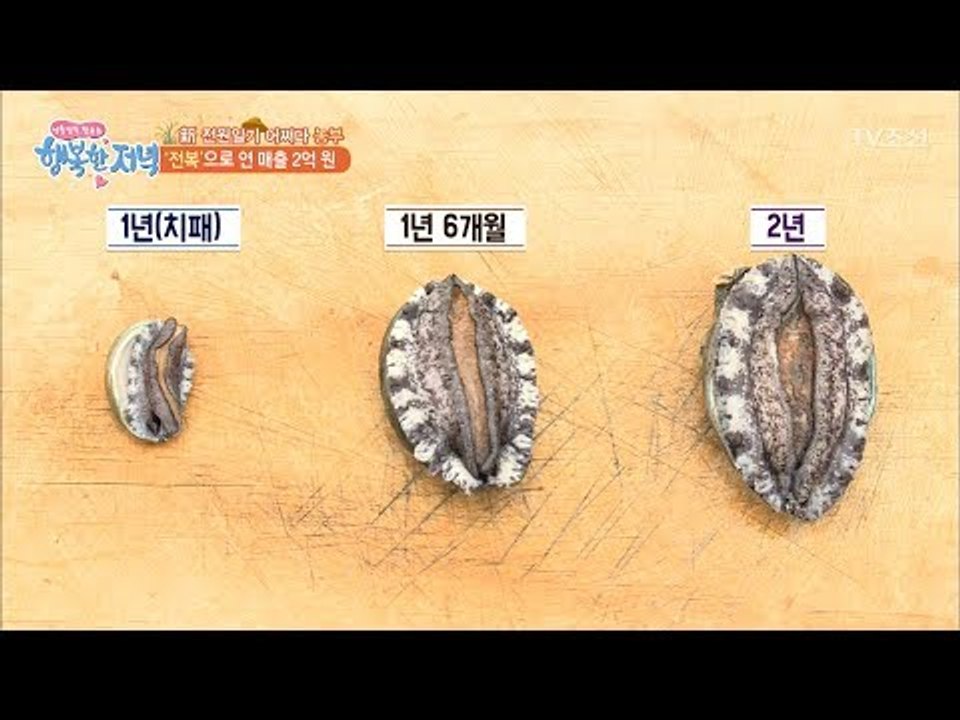전복을 키워 연 매출 2억 원! [행복한 저녁] 53회 20170629