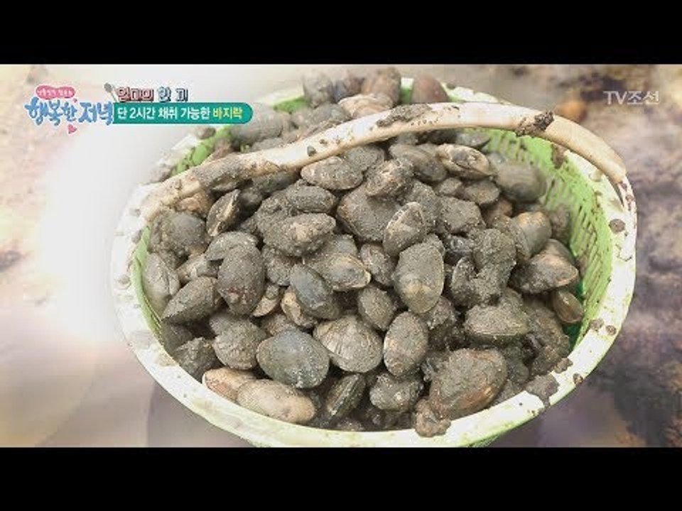 바지락이 널려 있는 황금 밭! [행복한 저녁] 54회 20170630