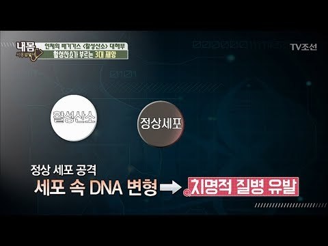 활성산소가 암을 부른다? [내 몸 사용설명서] 159회 20170630