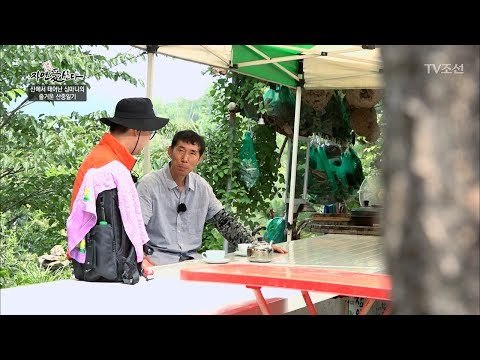 그의 집에 간첩이?! 영화 같은 자연인의 이야기! [자연愛산다] 14회 20170718