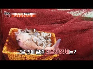 자리돔 잡는다고 올린 그물에 거대한 물고기가?! [뉴 코리아 헌터] 57회 20170703