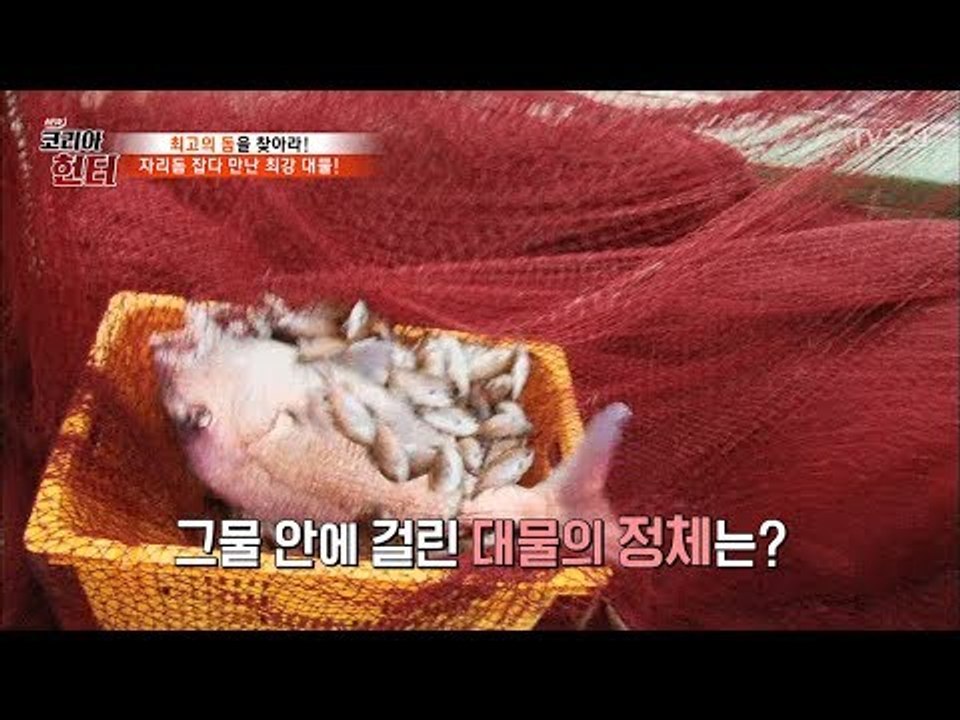 자리돔 잡는다고 올린 그물에 거대한 물고기가?! [뉴 코리아 헌터] 57회 20170703