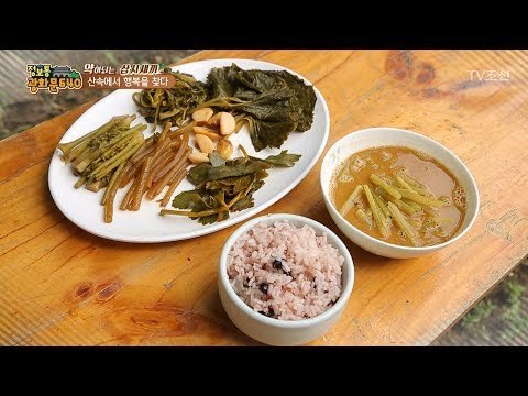 산속에서 얻은 것들로만 준비한 한 끼 식사! [정보통 광화문 640] 7회 20170711