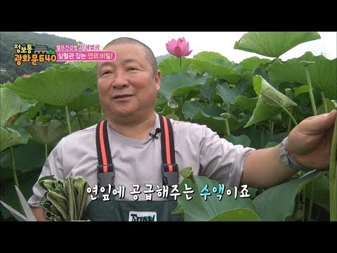 심혈관 잡는 연의 비밀! [정보통 광화문 640] 9회 20170713