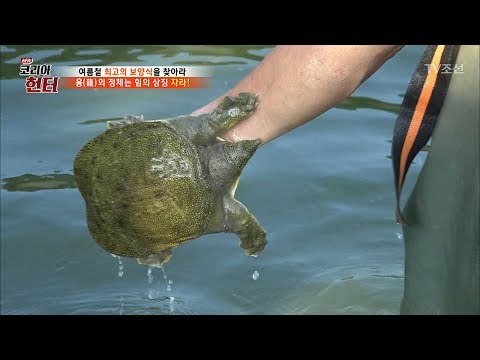 방심한 사이 헌터의 팔을 문 자라! [뉴 코리아 헌터] 60회 20170724