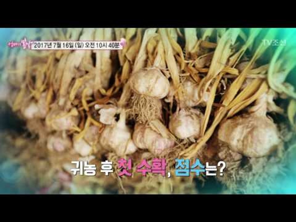 예순 엄마와 철부지 아들의 농사가 뭐길래_엄마의 봄날 97회 예고