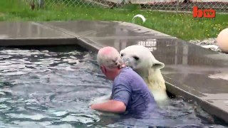 The Only Man In The World Who Can Swim With A Polar Bear Grizzly Man (1)