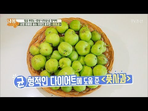 지방 분해를 도와주는 ‘풋사과’ 다이어트 [내 몸 사용설명서] 162회 20170721