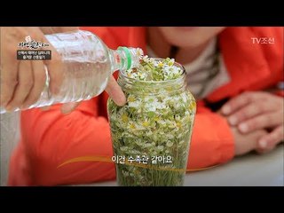 보기에도 예쁜 망초대 담금주! [자연愛산다] 14회 20170718