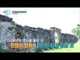 2차 세계대전보다 많은 폭탄을 맞은 동네의 현재 [배낭 속에 인문학] 9회 20170718