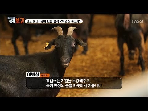 홍삼먹는 흑염소?! 과연 보양식답다! [황수경의 생활보감] 17회 20170729