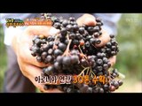 부부의 아로니아 농장! 연 매출 5억 원! [정보통 광화문 640] 14회 20170720