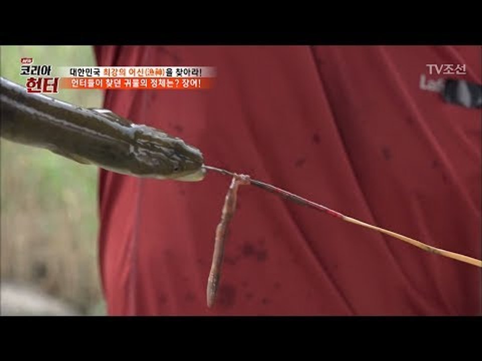 대나무 낚싯대로 장어를 잡는 헌터! [뉴 코리아 헌터] 59회 20170717