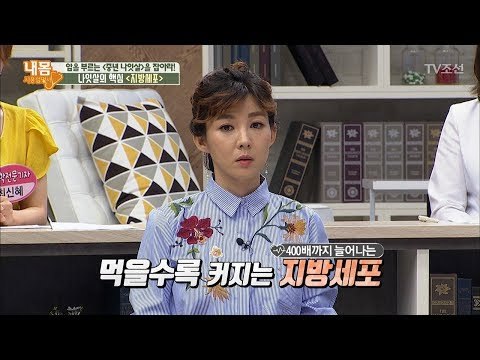 먹을수록 커지는 지방세포! 400배까지?! [내 몸 사용설명서] 162회 20170721