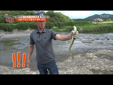 힘이 장난 아니다! 황금빛 대물 장어! [뉴 코리아 헌터] 59회 20170717