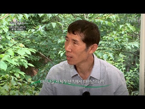 산에서 태어난 진짜 자연인! [자연愛산다] 14회 20170718