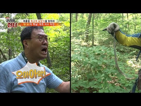 맨 손으로 뱀을 잡는 헌터! [뉴 코리아 헌터] 60회 20170724