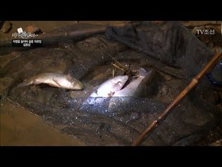 자연인만의 낚시터! 바로 이곳이 물반 고기반! [자연愛산다] 15회 20170725