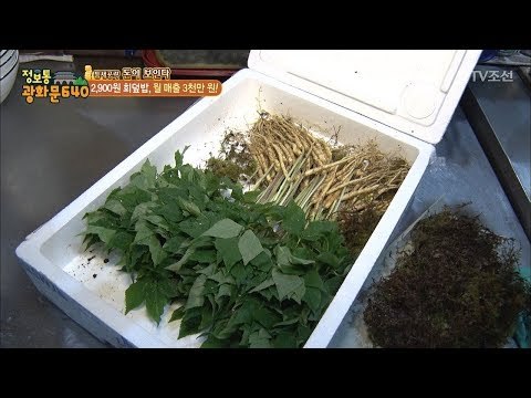 대박 맛집! 회를 먹으면 새싹 삼을 준다?! [정보통 광화문 640] 19회 20170727