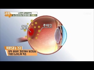 ‘빌베리’ 속 ‘루테인’이 눈 건강을 지킨다! [내 몸 사용설명서] 163회 20170728