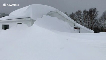 Snow swallows homes whole during Newfoundland winter