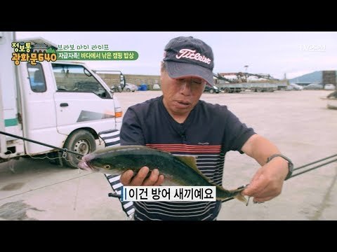 자급자족하는 캠핑 밥상! [정보통 광화문 640] 25회 20170804