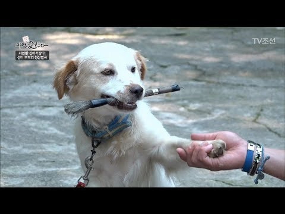 서당 개 삼 년이면 이렇게 된다! [자연愛산다] 16회 20170801