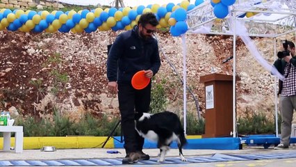 Mardin'de kurulan Hayvan Hastanesi açıldı