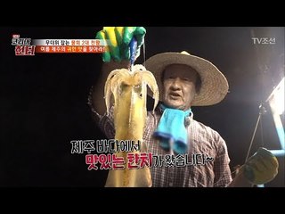 여름, 제주의 귀한 맛! 귀하디 귀한 한치! [뉴 코리아 헌터] 63회 20170814