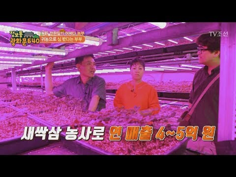 산삼? 인삼?　이제는 새싹삼이다! 연매출 5억! [정보통 광화문 640] 24회 20...
