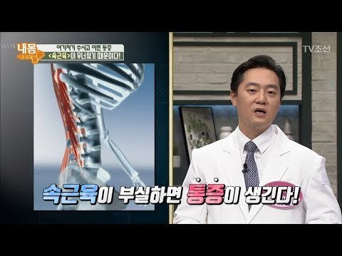 통증의 원인은 속근육이 무너졌기 때문이다 [내 몸 사용설명서] 164회 20170804