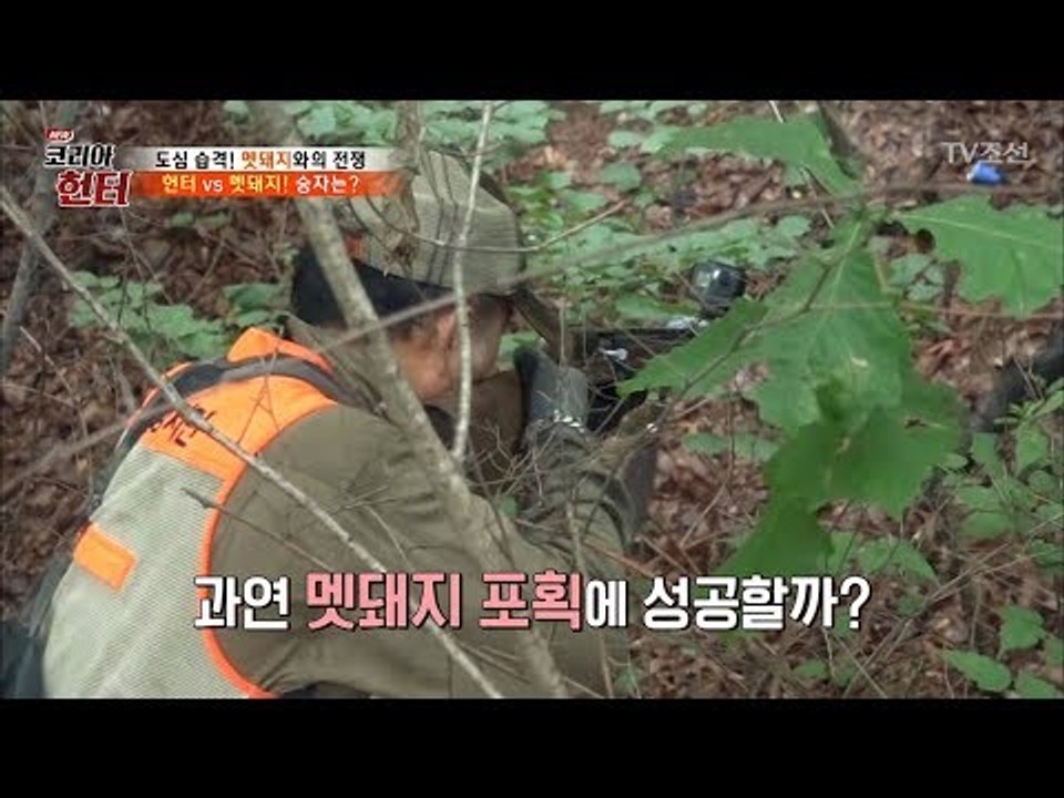 멧돼지 발견! 사냥개와 맞닥뜨리다! [뉴 코리아 헌터] 62회 20170807