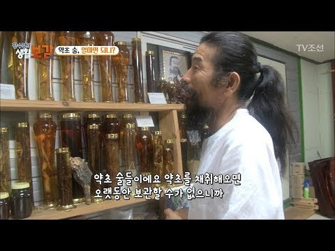 직접 캔 약초들이 점심식사?! [황수경의 생활보감] 18회 20170805