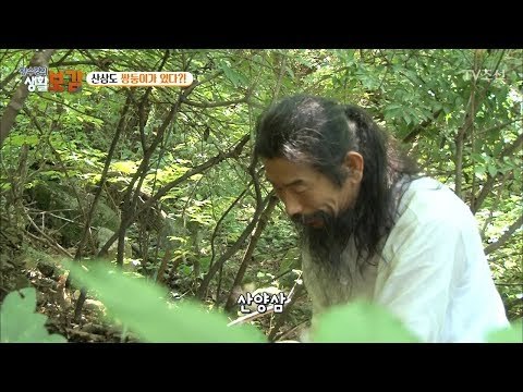 자연에 몸을 맡긴 소백산의 약초꾼! [황수경의 생활보감] 18회 20170805